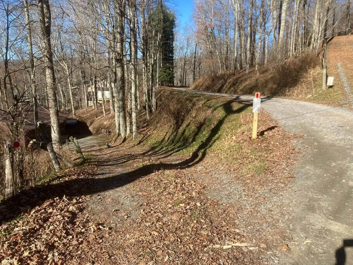 A winding gravel road meanders through a leaf-strewn path, flanked by tall trees ablaze with autumn colors. The mailbox on the post hints at a welcoming retreat nestled further in, while the tranquility of the woods sets the stage for immersive nature experiences.